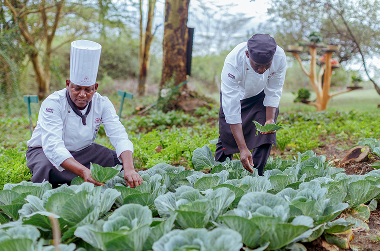 Hats off To The Magic of Kitchen Gardens at Sarova Hotels Kenya