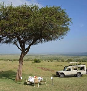 Enchanting Safari Mara