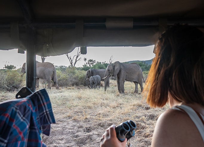 Experience Safari in Shaba National Reserve